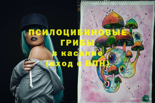 трава Беломорск