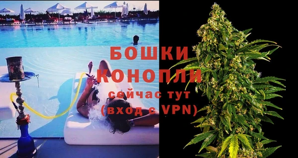 трава Беломорск