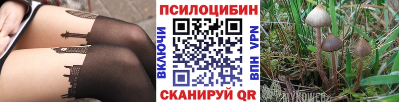 кракен как зайти  Завитинск  Псилоцибиновые грибы GOLDEN TEACHER 
