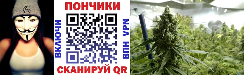 Шишки марихуана семена  Завитинск 